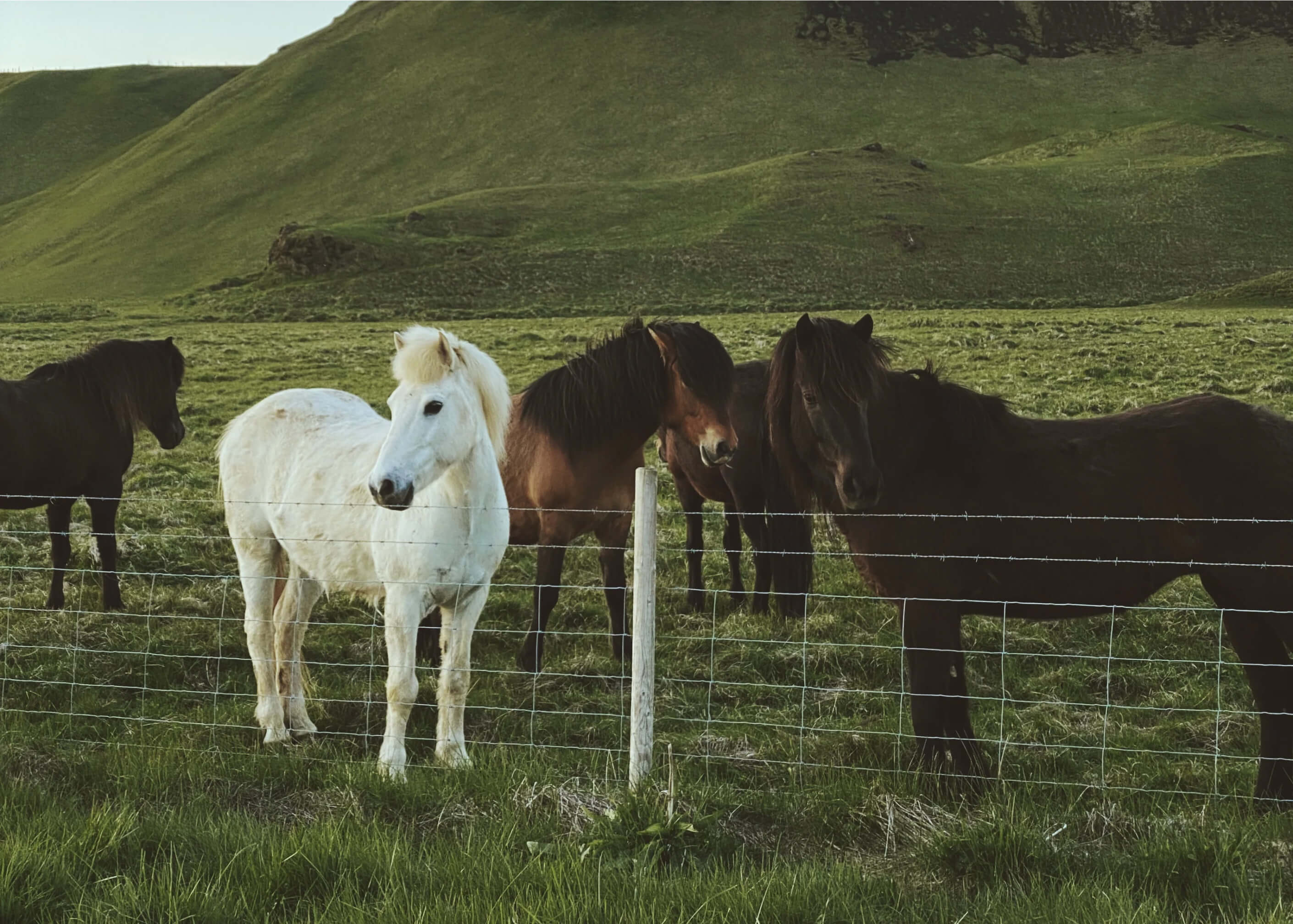 Office Fashion: Confidence and Professionalism