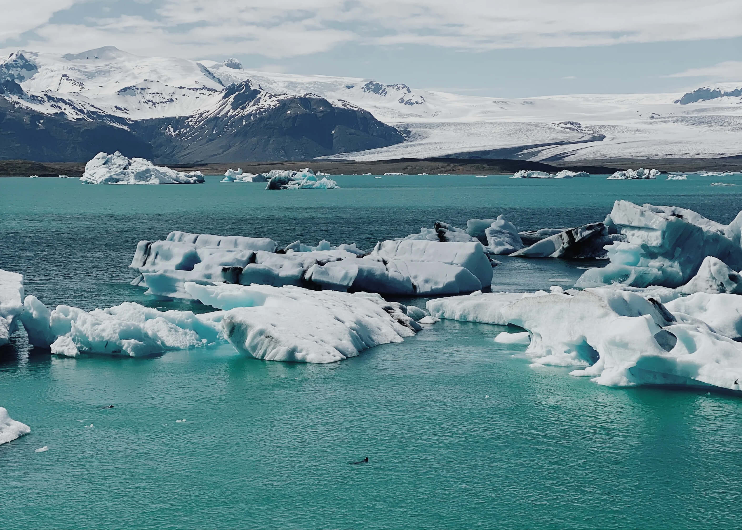 Sustainable Furniture: Eco-Friendly Choices